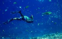 Young Man Snorkeling in the Tropical Water